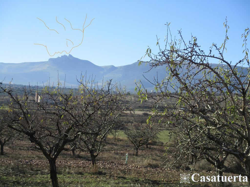 Casa Tuerta Villa Alcala de Moncayo Bagian luar foto